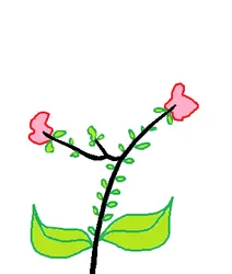flower.png